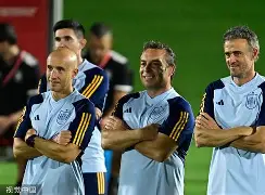 Yabo-西班牙瑞士阵容